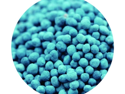 [馬蹄金]馬蹄金草坪種子價格_圖片_種植方法