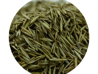 [紫羊茅]冷季型草坪種子紫羊茅價格_圖片_種植方法