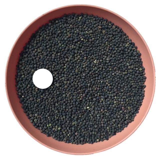 優(yōu)質(zhì)養(yǎng)蜂蜜源植物、牧草光葉紫花苕的種植技術(shù) 優(yōu)質(zhì)養(yǎng)蜂蜜源植物、牧草光葉紫花苕的種植技術(shù)