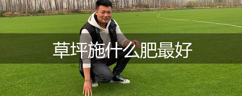 草坪施什么肥最好 草坪施什么肥最好