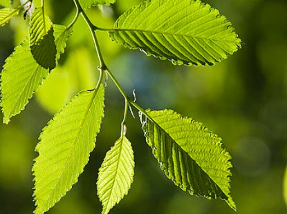 1629552119108774.jpg image.jpg