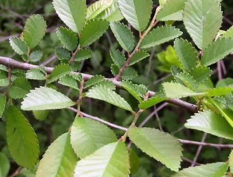 1629552127366247.jpg image.jpg