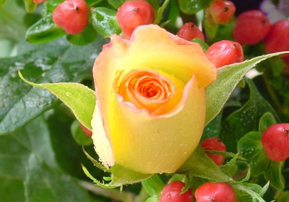 1630123199287072.jpg image.jpg