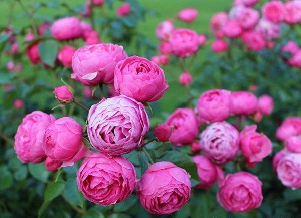 1630123211804828.jpg image.jpg