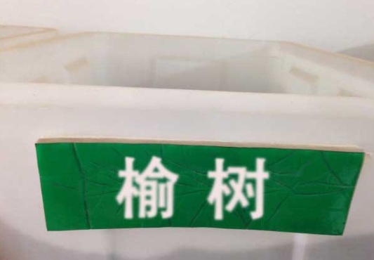 1630482216175077.jpg image.jpg