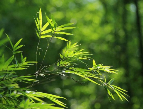 1631433386255599.jpg image.jpg