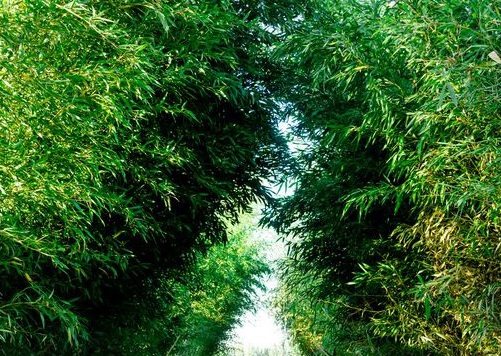 1631434089176990.jpg image.jpg