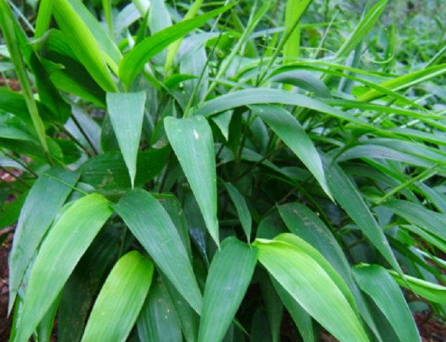 1631434125428756.jpg image.jpg