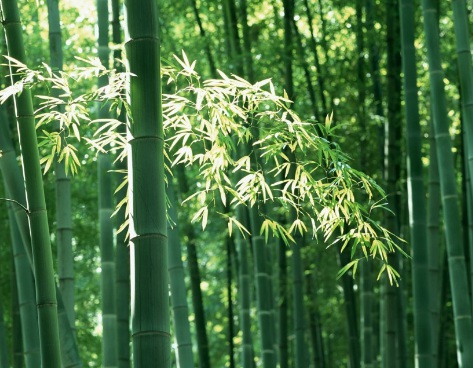 1631435412340222.jpg 1631435412340222.jpg