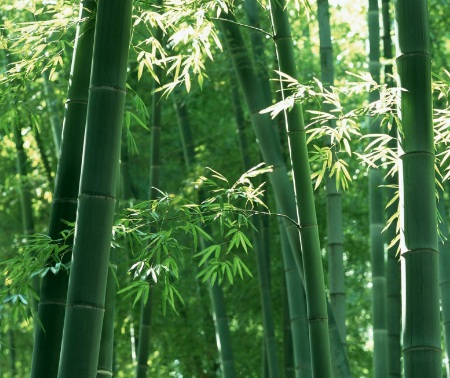 1631435419128703.jpg 1631435419128703.jpg