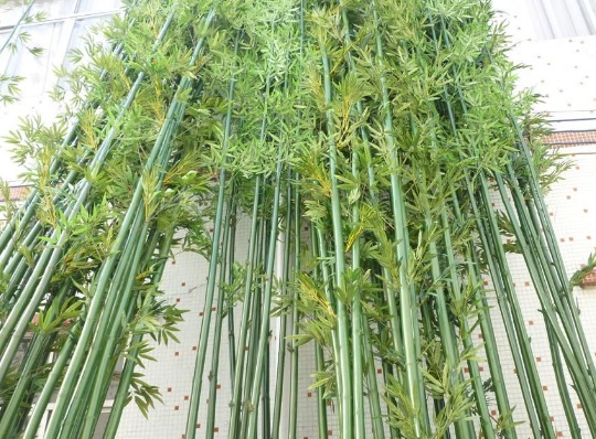 1631453073958577.jpg 1631453073958577.jpg