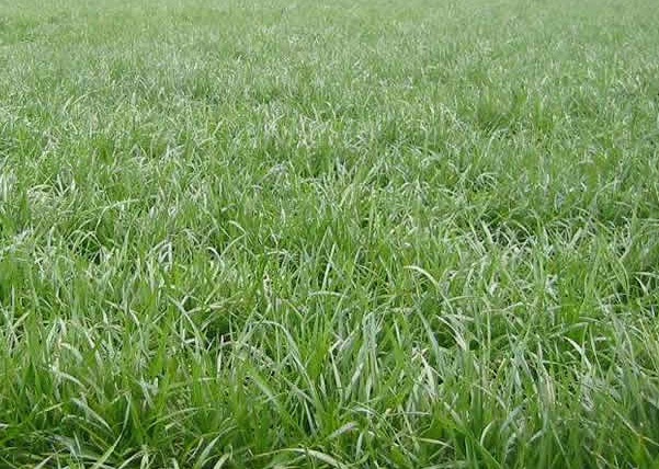 1632965342623099.jpg image.jpg