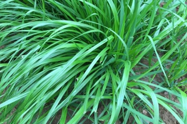 1632965374366348.jpg image.jpg