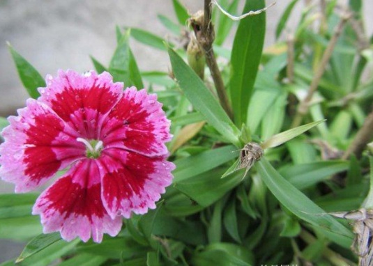 1632979248669985.jpg image.jpg