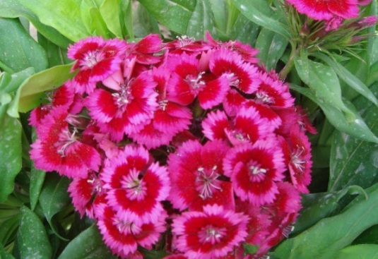 1634109888230670.jpg image.jpg