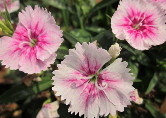 1634110654451145.jpg image.jpg