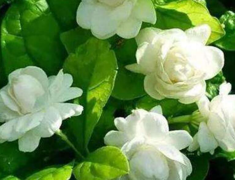 1638173613903270.jpg 1638173613903270.jpg