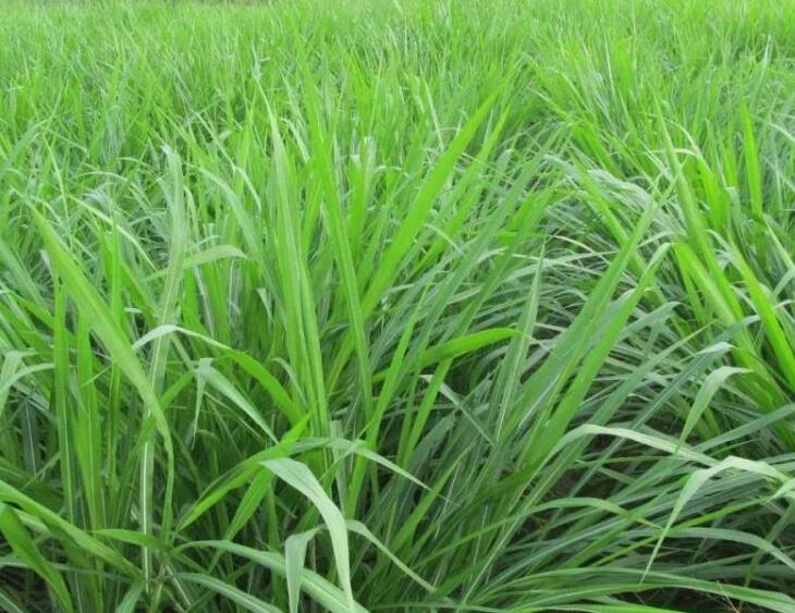 1643359344210272.jpg 1643359344210272.jpg