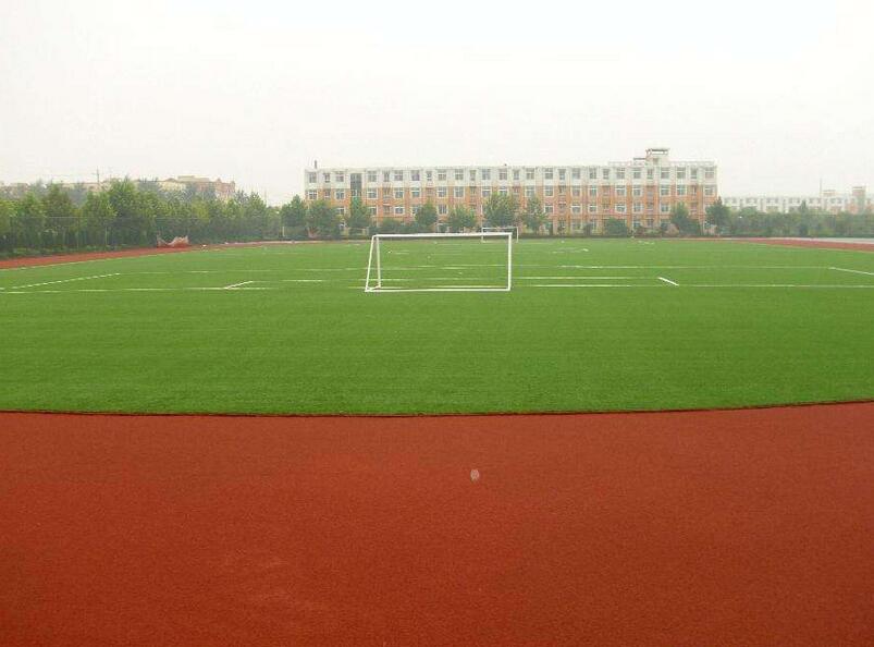 1650274693761610.jpg 1650274693761610.jpg